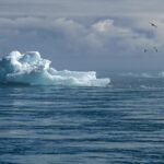 Berliner Klimaschutz Strategien