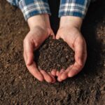 am besten boden verbessern lehm