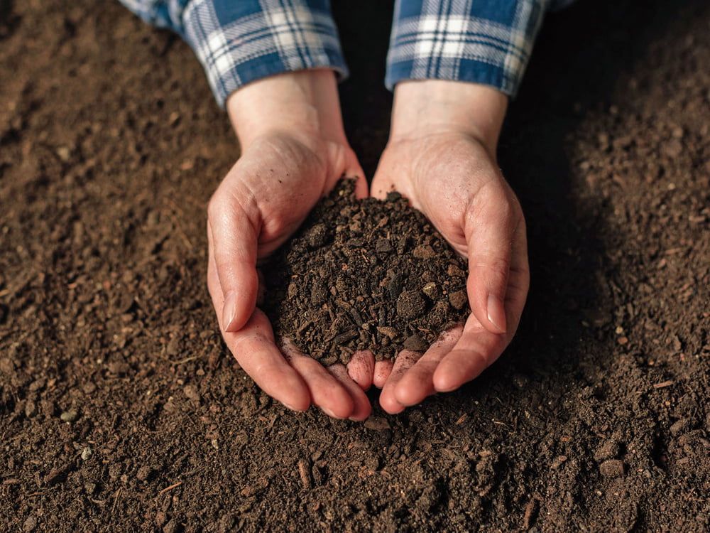 am besten boden verbessern lehm